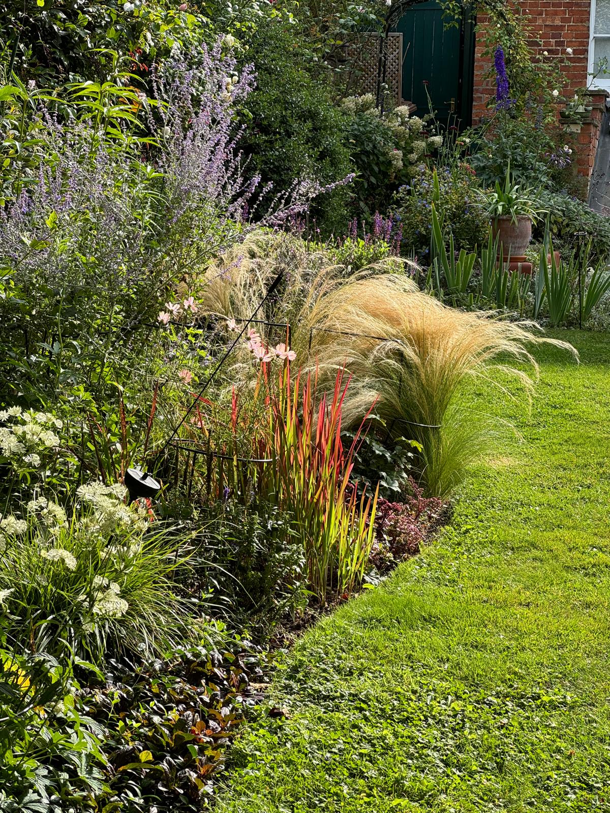 Colourful garden border with ornamental grasses